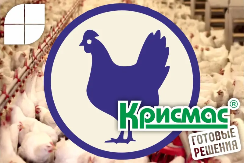 Роль портативных средств экспресс-анализа в контроле качества мяса птицы на птицефабриках и в торговых сетях