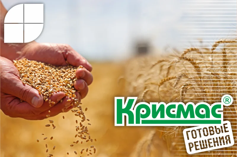 Экспресс-методы анализа качества зерна с использованием портативного оборудования: от поля до элеватора