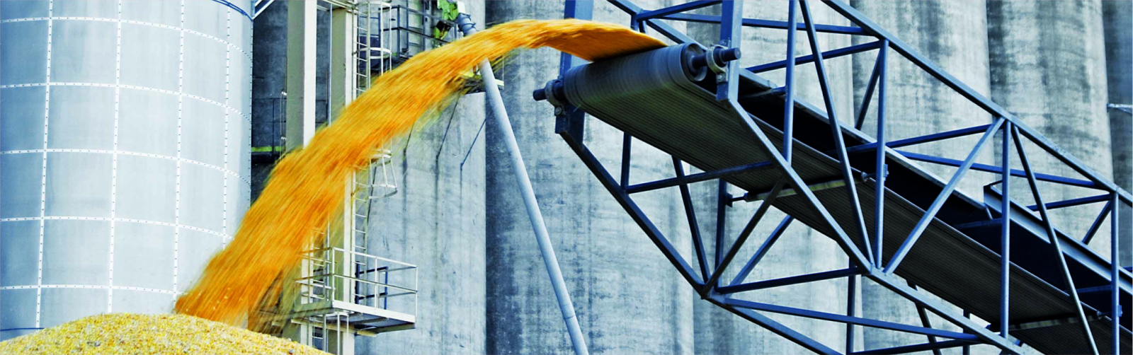 Анализ зерна при приемке на элеватор