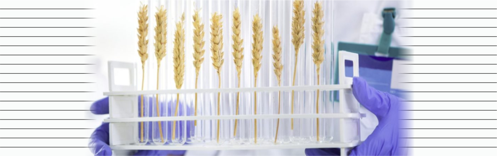 Обеспечение точности и надежности экспресс-методов