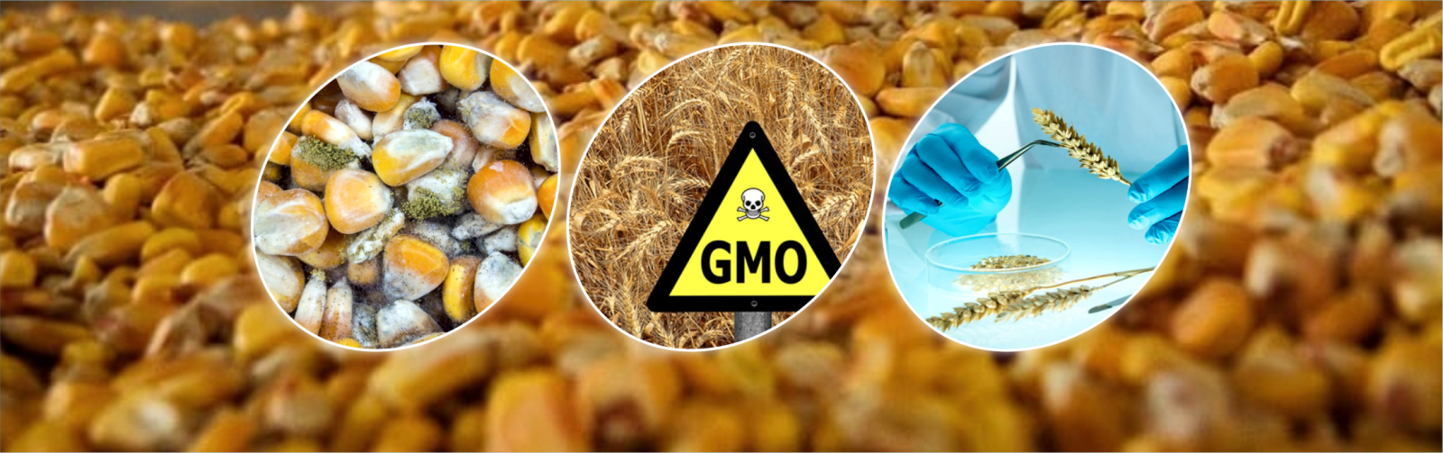 Тесты и комплекты для анализа качества зерна