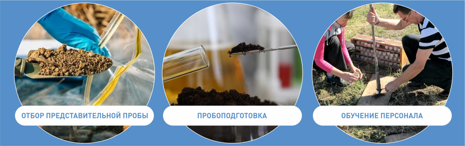 Этапы работ при анализе почвы