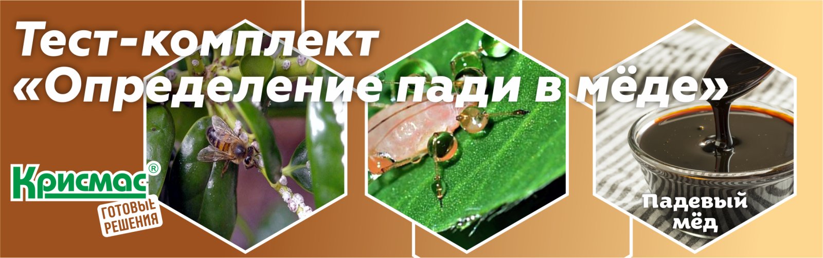 Определение падевого меда