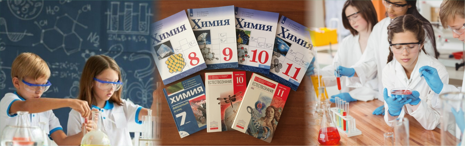 Задачи химико-экологического эксперимента