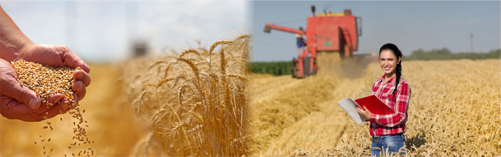 Контроль качества при уборке урожая