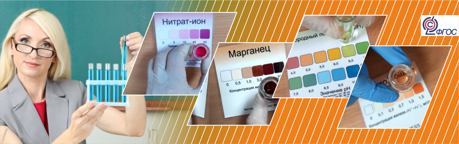 Использование ШХЭЛ в урочной и внеурочной деятельности Использование ШХЭЛ в урочной и внеурочной деятельности