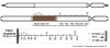 Сероводород 0,5-10;10-200 (4,5)