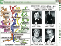 Интерактивное пособие «Наглядная биология. Введение в экологию»