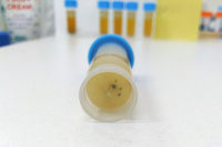 Петритест на Сульфатредуцирующие бактерии (BART тест)